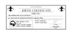 Birt Certificate